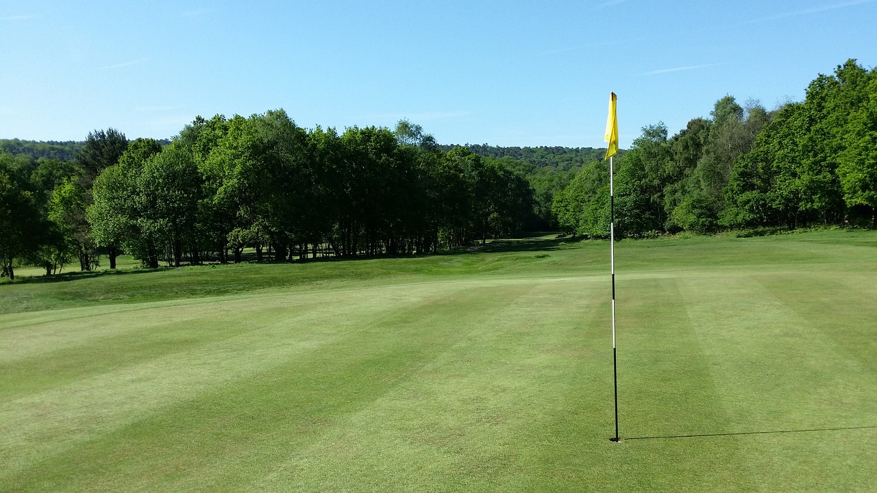 golf course green near the flag